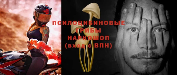ешки Алексеевка