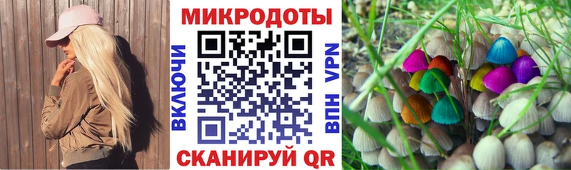 Галлюциногенные грибы Cubensis  Кизел 